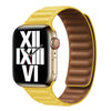 "Dual-Tone" Ultra-Thin Silicone Chain Magnetic Band For Apple Watch - 3#