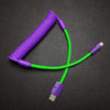 "Colorblock Chubby" New Spring Charge Cable - Purple+Green
